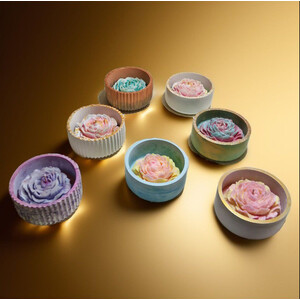 Коллекция пионов